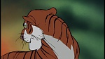 Image The Jungle Book