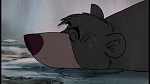 Image The Jungle Book