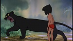 Image The Jungle Book