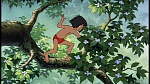Image The Jungle Book