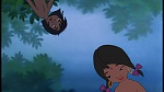 The Jungle Book picture