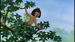 The Jungle Book picture