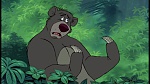 Image The Jungle Book