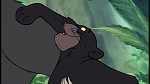 The Jungle Book picture
