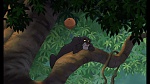 The Jungle Book 2 picture
