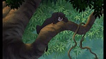The Jungle Book 2 picture