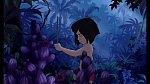 The Jungle Book 2 picture