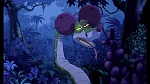 The Jungle Book 2 picture