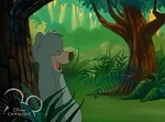Image Le livre de la Jungle : souvenirs d'enfance