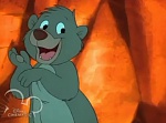 Jungle Book :  picture
