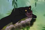 Présentation générale de Le Livre de la Jungle 2