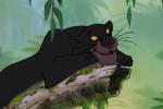 Présentation générale de Le livre de la Jungle : souvenirs d'enfance