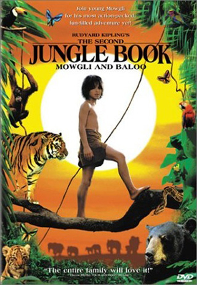 Jungle