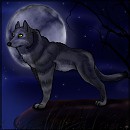 Akela, chef des loups