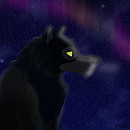 Look at the stars