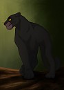 Bagheera
