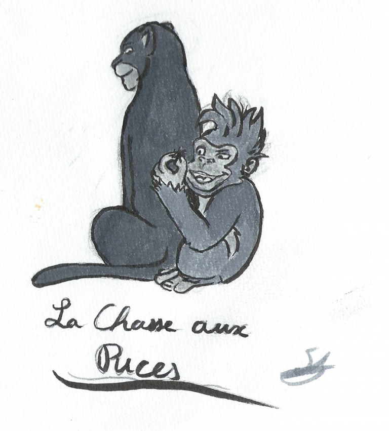 La chasse aux Puces
