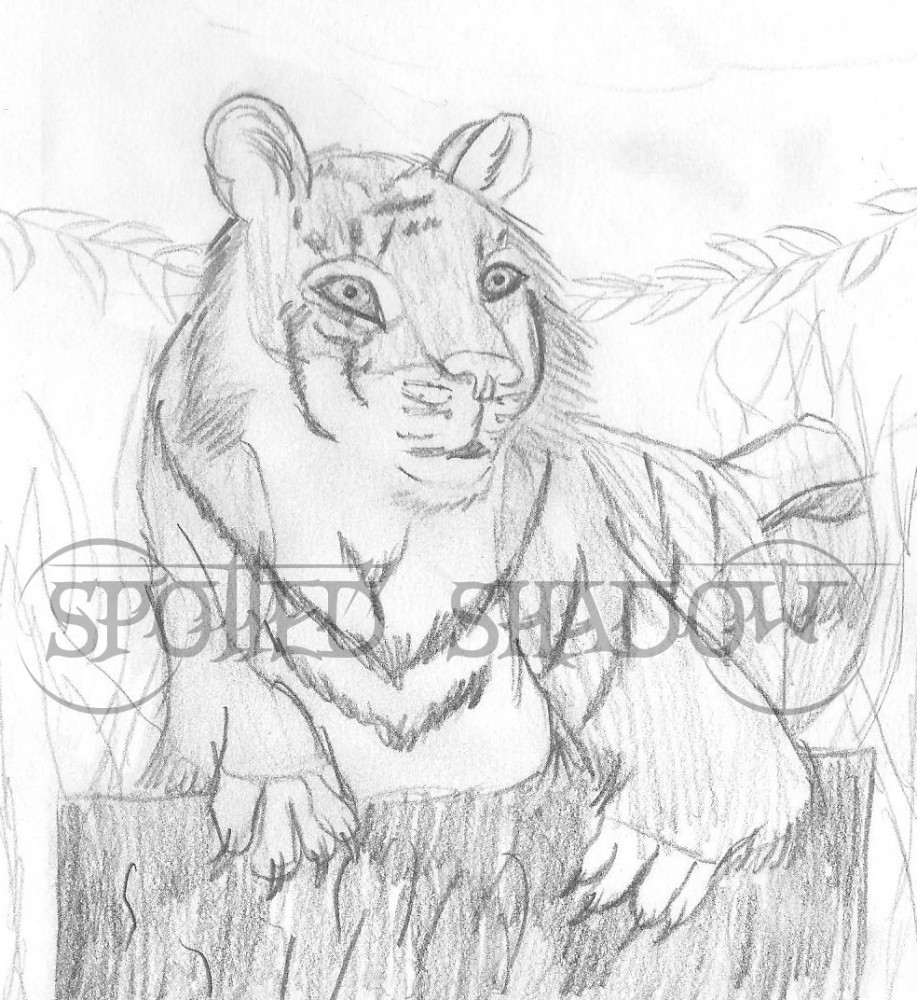 Shere Khan