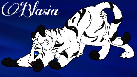 Detail Blasia
