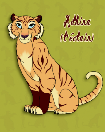 Detail Adhira