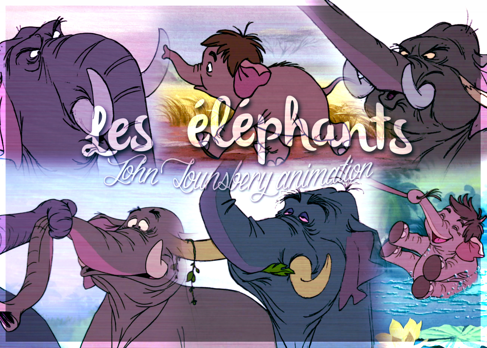 50ans - Eléphants - John Lounsbery