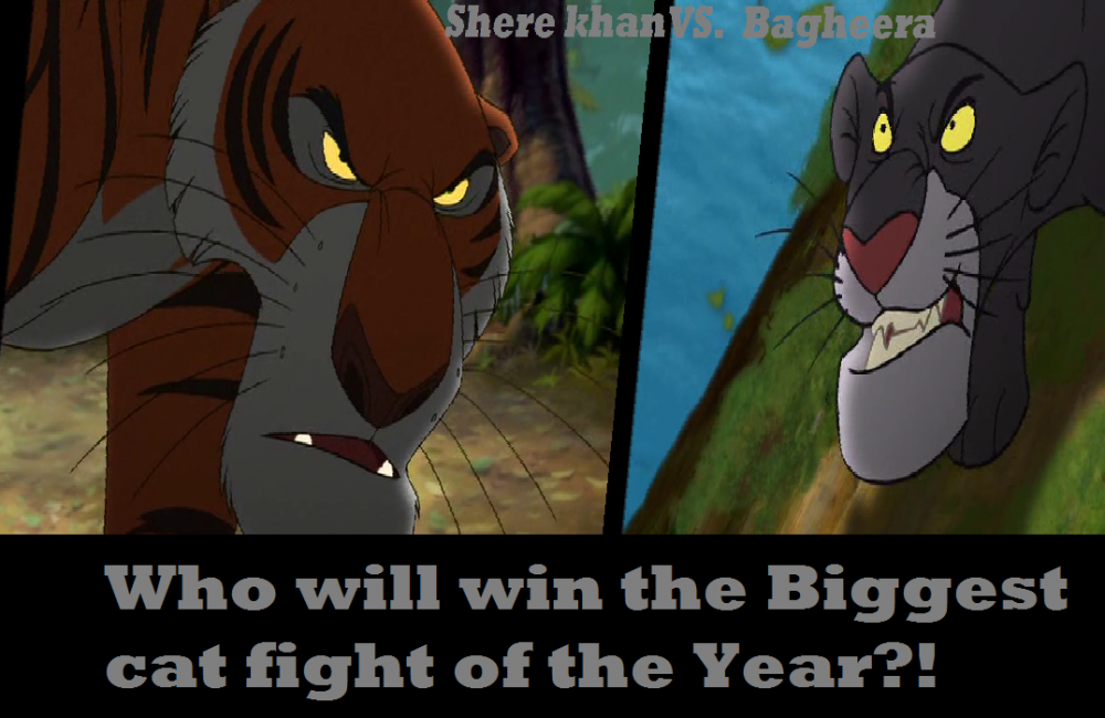 Shere khan Vs. Bagheera