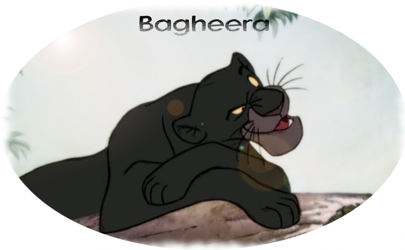 Bagheera