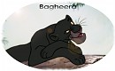 Bagheera