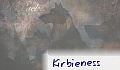 Morrygaan95