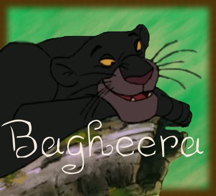 Bagheera Avvie