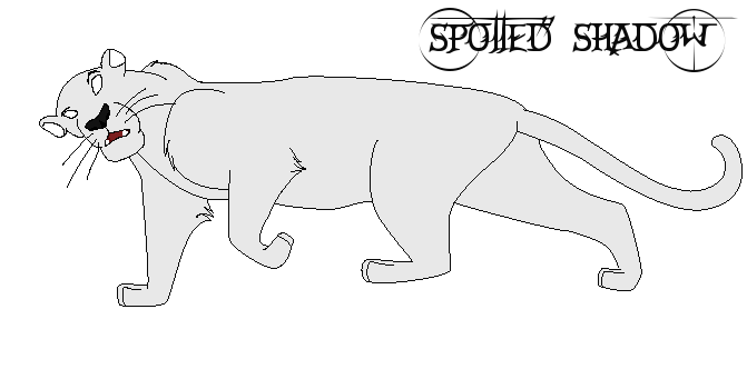 Leopard Ref Sheet