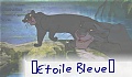 ¤Etoile Bleue¤