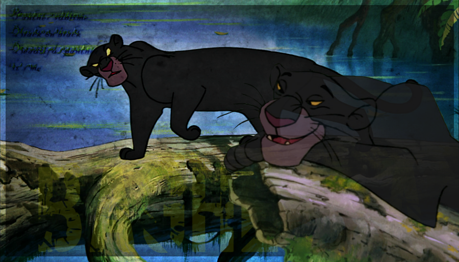 The Panther Black