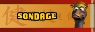 Sondage