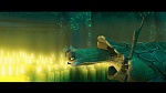 Image Kung Fu Panda