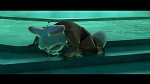 Image Kung Fu Panda