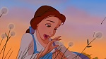 Beauty and the Beast picture