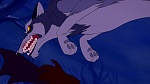 Beauty and the Beast picture