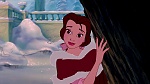 Beauty and the Beast picture