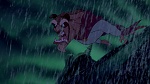 Beauty and the Beast picture