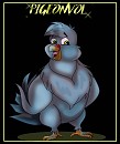 Pigeonvol colo spéciale