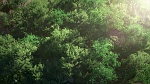 Image Saison 1