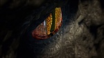 Image Saison 1