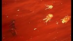 Treasure Planet picture