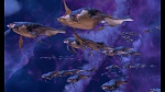 Image La Planète au Trésor