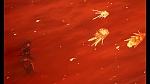 Image La Planète au Trésor