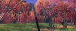 Image La Reine des Neiges 2