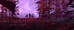 Image La Reine des Neiges 2
