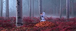Image La Reine des Neiges 2