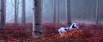 Image La Reine des Neiges 2